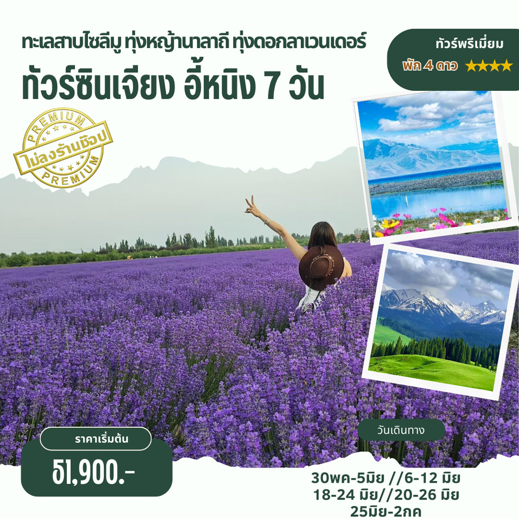 ทัวร์จีน ซินเจียง อี้หนิง ทุ่งดอกลาเวนเดอร์ 7วัน 6คืน (3U)